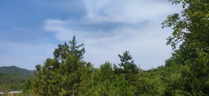 蓝天白云树木草原山