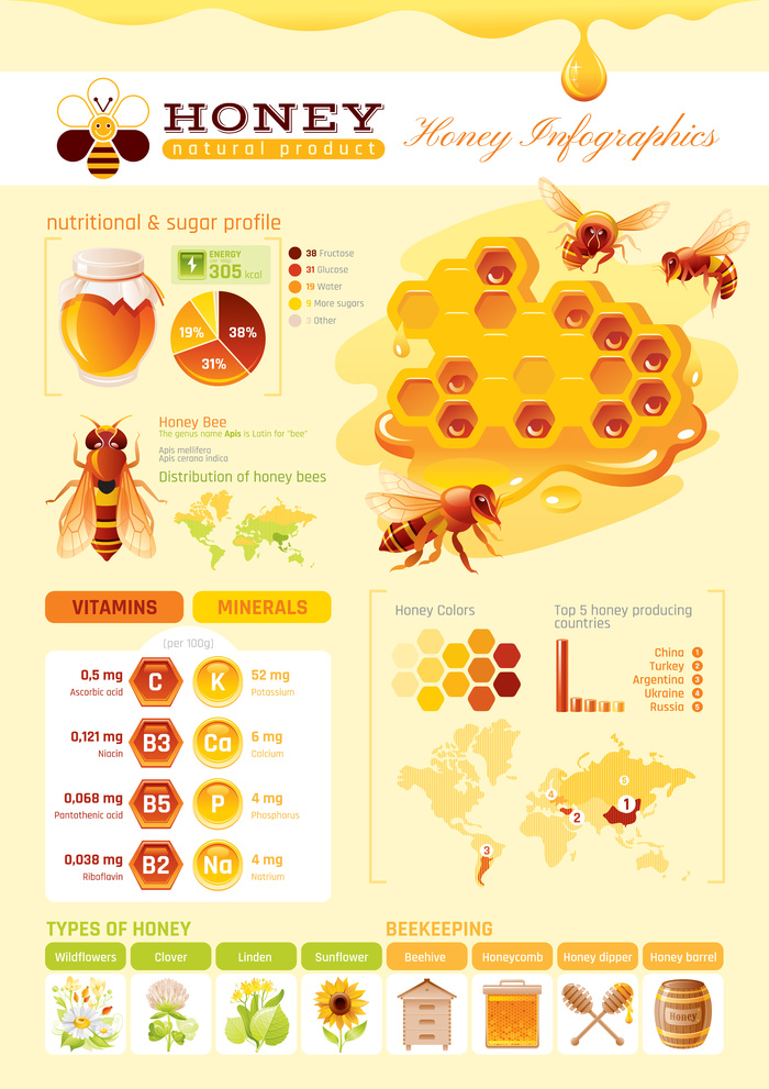 创意矢量蜂蜜信息创意图表