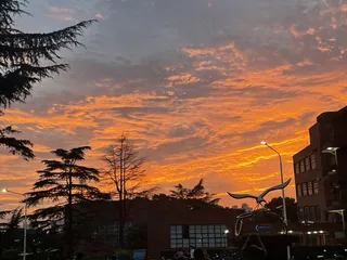 唯美真实黄昏夕阳教室路灯背景摄影