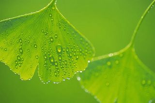 图片设计素材背景炫光背景