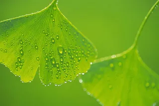 图片设计素材背景炫光背景