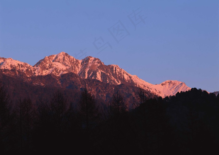 绿树山水 111
