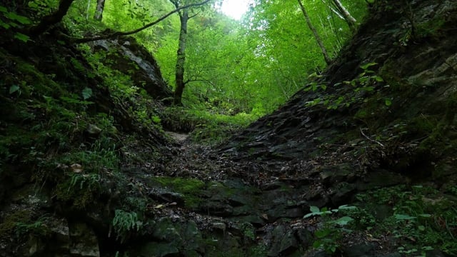 岩石, 岩墙, 石头, 灰色的, 陡, 树木, 绿色, 污垢