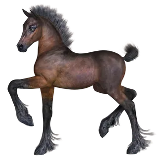 马动物免扣素材透明背景野马