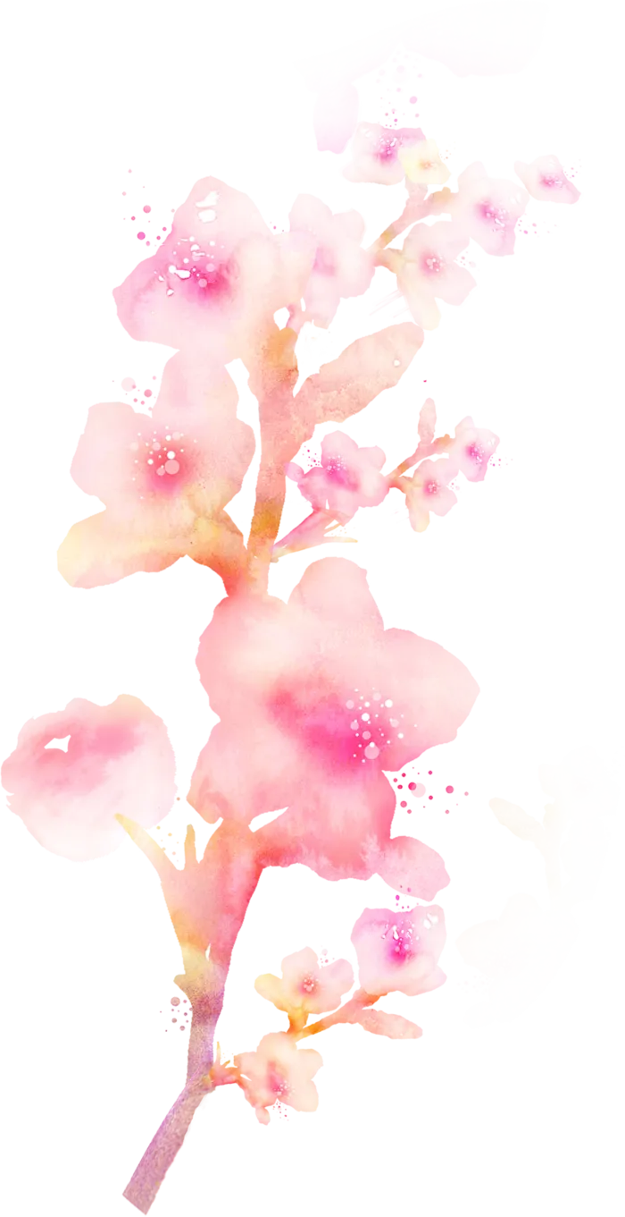 粉色简约风手绘鲜花花朵水墨画PNG素材图片 (29)