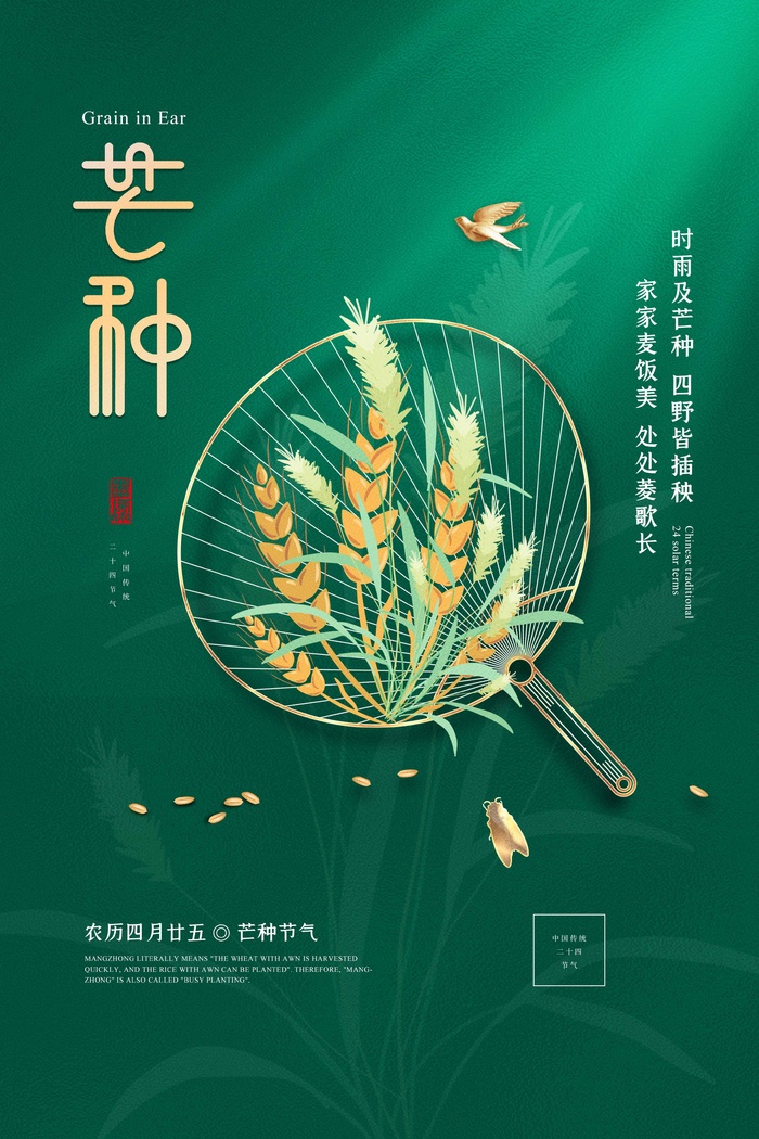 芒种 芒种活动物料
