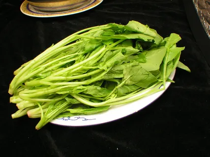 菠菜    菠菜