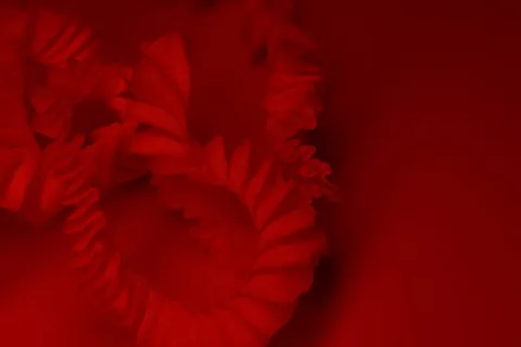 红色庄严海报背景