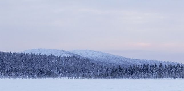 冬天自然背景风景