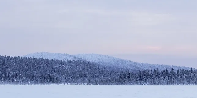 冬天自然背景风景
