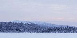 冬天自然背景风景