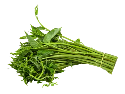 空心菜 (2)超市商品白底图免抠实物摄影png格式图片透明底