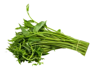 空心菜 (2)超市商品白底图免抠实物摄影png格式图片透明底