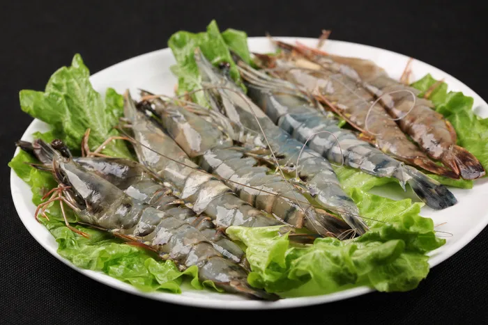 野生对虾 (1)