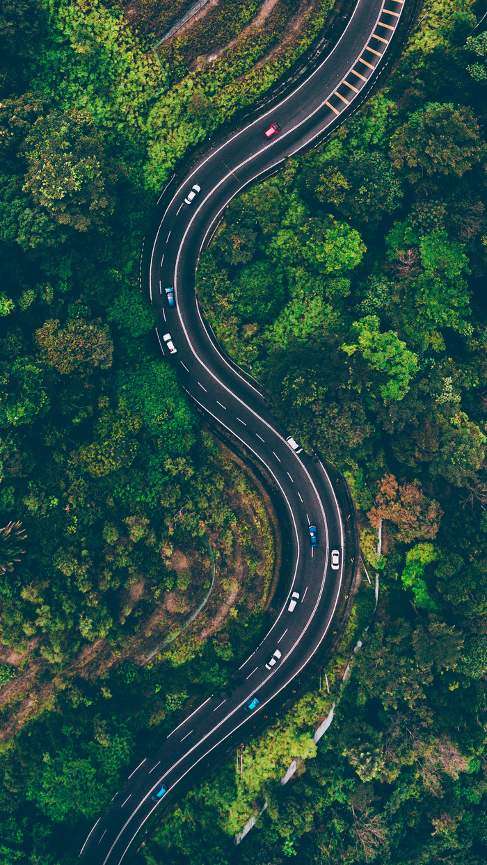 高清森林树林道路