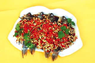 4052折耳根拌鲫鱼 