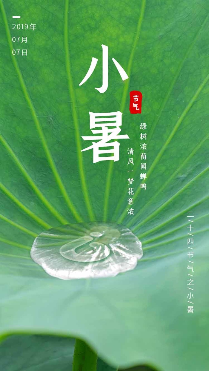 小暑 小暑宣传海报
