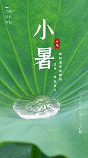 小暑 小暑宣传海报