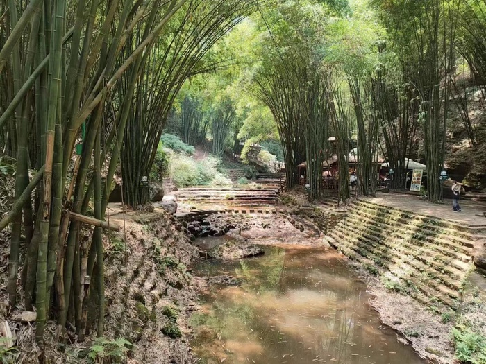 竹林和小溪高清图