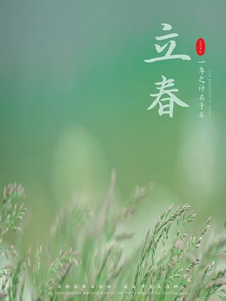 24节气立春春季新春春天海报模板PSD分层设计素材源文件模板