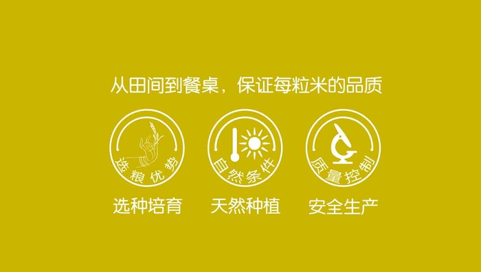 地域小标   天然种植  安全生产  选种培育