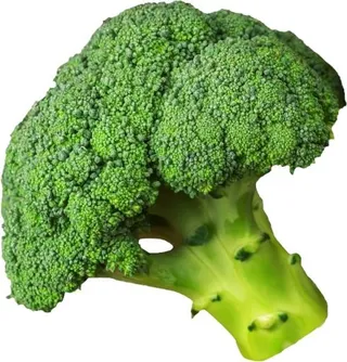 西兰花 PNG免抠