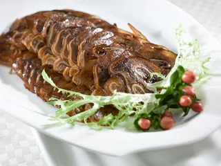 LCH1376牦牛耳切片