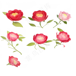 红色 粉色 手绘 免抠 PNG 玫瑰 花 素材11