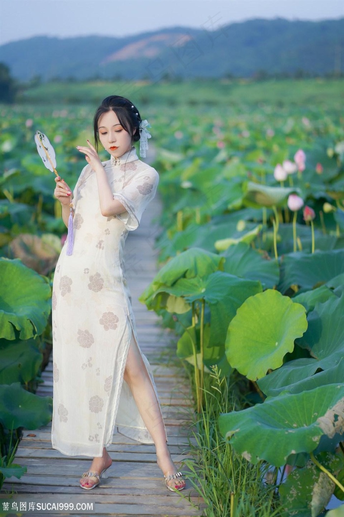 莲花池旁的旗袍美女图片