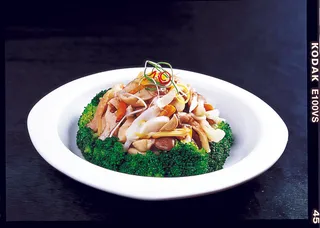 CXC02532兰花杂菌22