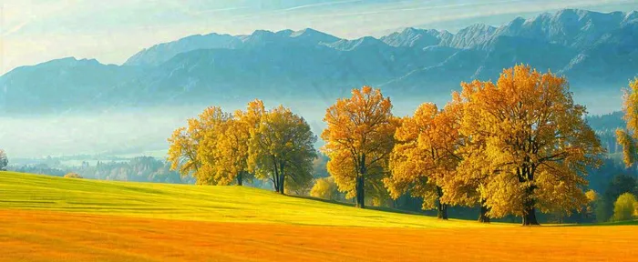 秋天山脉秋叶树木，秋分摄影图(1712x704)