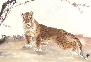 家畜文化艺术摄影图片