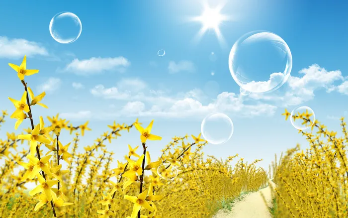 蓝天白云花卉小路风景