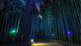 元宇宙世界风景天空背景墙