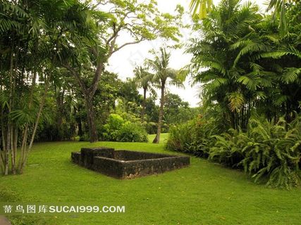 印尼巴厘岛东南亚园林热带植物景观