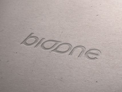 LOGO展示效果样机