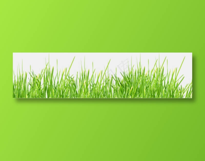 草地免扣png  