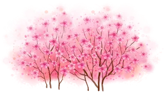 粉色简约风手绘鲜花花朵水墨画PNG素材图片 (107)