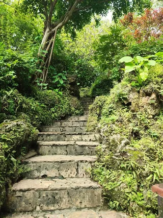 幽静绿色小路楼梯