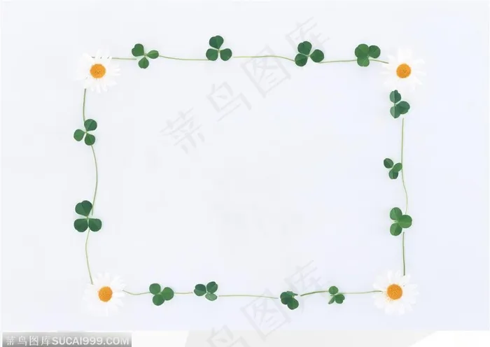 相框边框-小草和四朵小花组成的边框