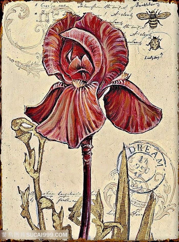 欧式花与蝴蝶装饰画