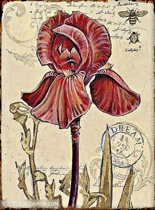 欧式花与蝴蝶装饰画