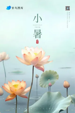 小暑简约雾面荷花池节气海报
