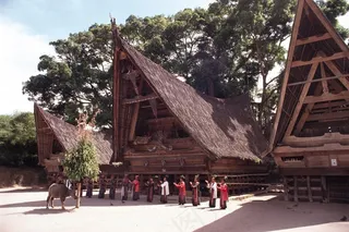 树下茅草屋前跳舞的少数民族