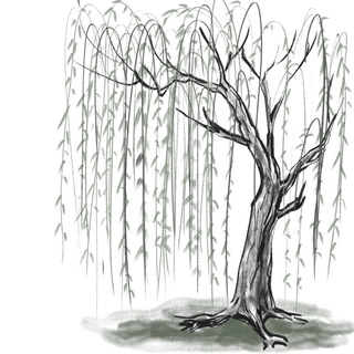 春天绿色春季水墨柳树柳条柳叶春季海报设计PNG免扣素材