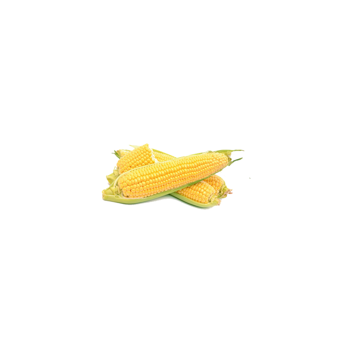 玉米新鲜免扣素材