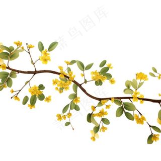 桂花黄花树枝免抠