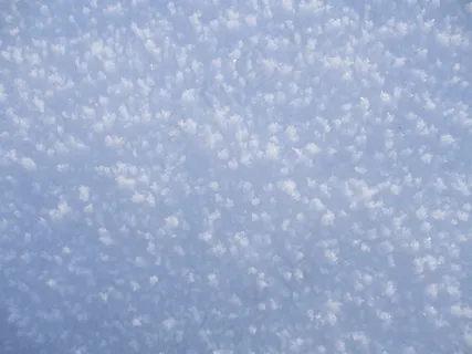 白雪雪晶图片