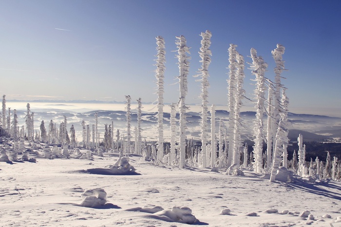 冬天白雪背景风景