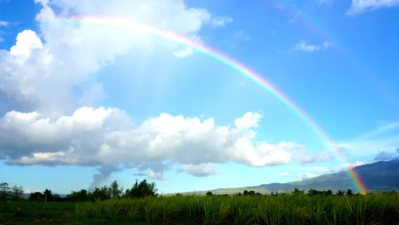 高清蓝天白云草地
